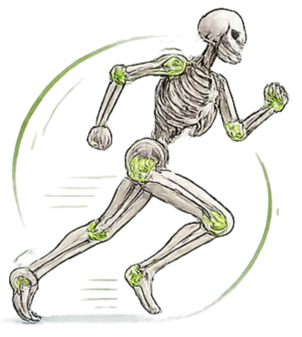 Θεραπευτική Γυμναστική